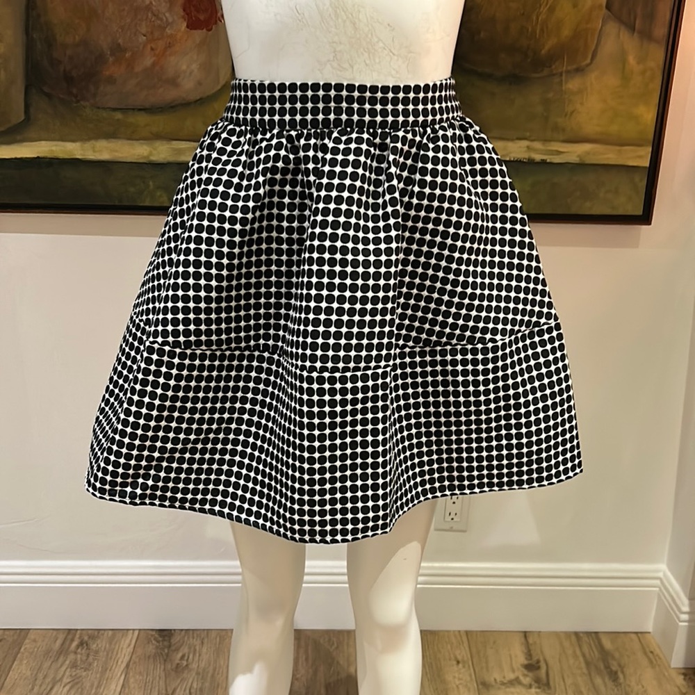 Express skirt